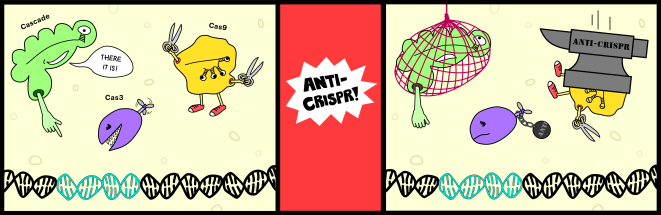 Anti-CRISPR-comic